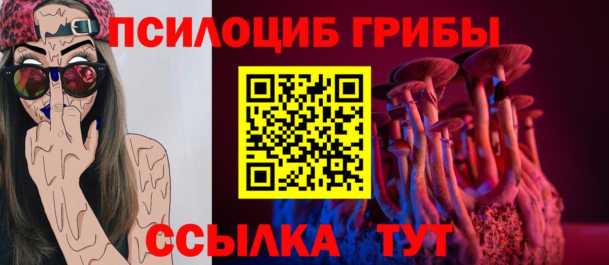 закладка  Вход с VPN  Новодвинск  Псилоцибиновые грибы Psilocybe  Псилоцибиновые грибы ЛСД 